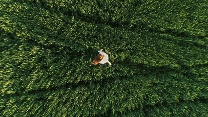 Beautiful girl whirling in a wheat field, shooting from above with a drone flying up