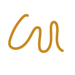 Neutral Doodle Squiggly Line