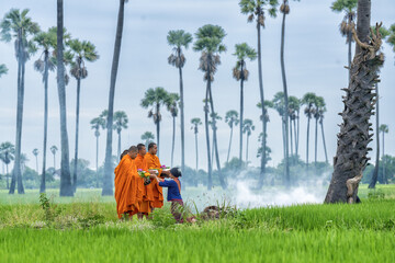 Buddhist monks going about with alms bowl to receive food from villager in morning by walking...