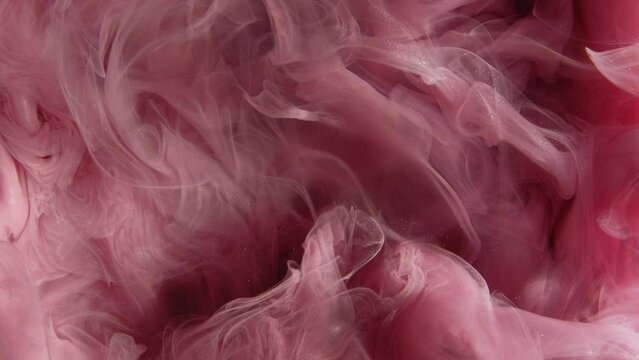 Paint water shot. Color vapor cloud. Opener effect. Underwater pink white pigment smoke flow motion on black abstract art background.