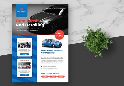 Blue Red Auto Car Wash and Car Detailing Flyer