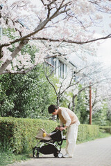 春の昼下がりにベビーカーを押しながら桜の咲く道を散歩する日本人親子