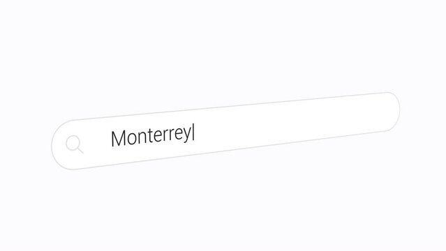 Search Monterrey in the Search Engine