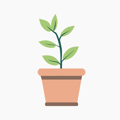 plant in a pot on white background vector illustration for nature environment design element and concept