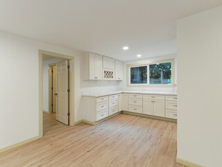 Modern residential luxury kitchen interior