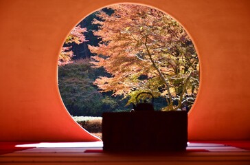 鎌倉明月院　秋の円窓