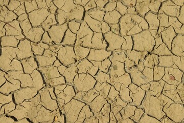 Background, texture dried cracked earth