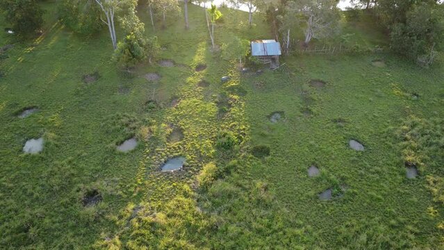 Aerial view of the buffalo pen and the holes in the ground made by the buffalo for bathing
