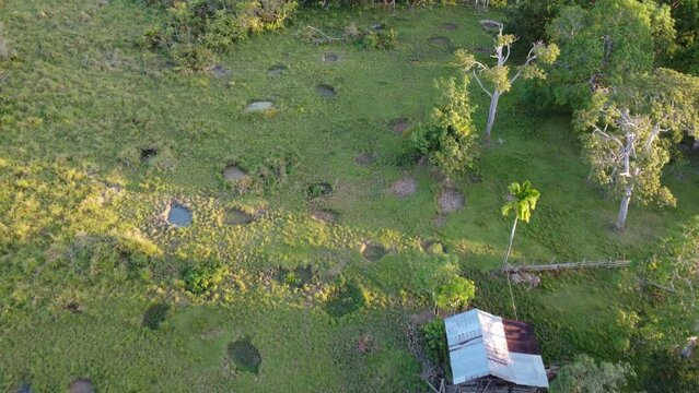 Aerial view of the buffalo pen and the holes in the ground made by the buffalo for bathing
