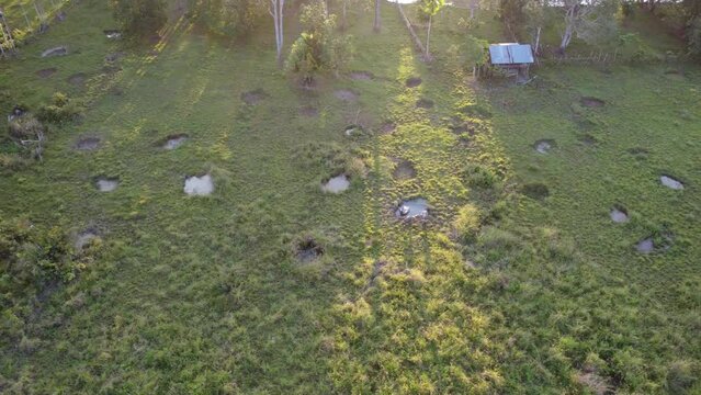 Aerial view of the buffalo pen and the holes in the ground made by the buffalo for bathing