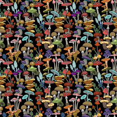 Seamless pattern with colored different mushrooms. Beautiful mushrooms, toadstool, fly agaric, champignon, background, fashion, textile, design.