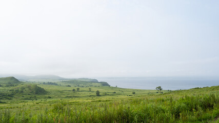 Fototapeta na wymiar A beautiful landscape image of a sea of fog rolling through the countryside on a summer day. Fog and green hills. A low cloud over the cliffs and the sea. Selective focus.