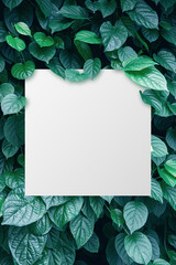 Blank paper on the tropical green leaf background	
