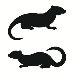 Tiger Salamander silhouettes and icons. Black flat color simple elegant Tiger Salamander animal vector and illustration.