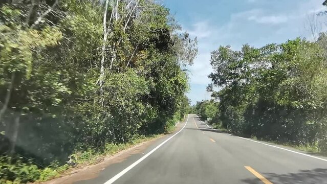 Driving Along a Scenic Country Road in Thailand Surrounded by Tall Green Trees.