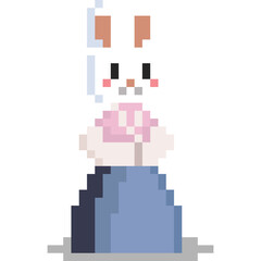 Pixel art rabbit character wear hanbok character