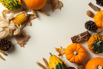 Autumn fall thanksgiving day composition with decorative pumpkins