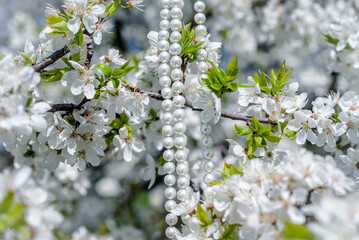 A pearl necklace hangs on the branches of a cherry blossom
