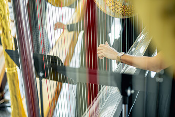 The harp is a type of stringed instrument in an orchestra that is played by hand.