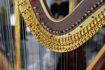 The harp is a type of stringed instrument in the orchestra.