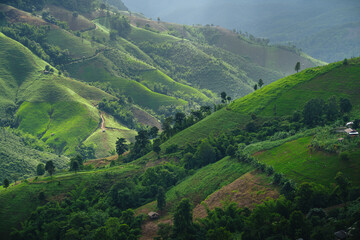 Fototapeta na wymiar Green mountain scenery,Landscape of green mountains