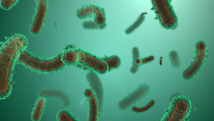 Microscopic visualization of rabies virus.