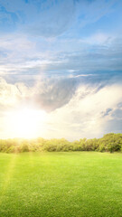 Naklejka premium Meadow field