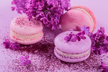 Obraz na płótnie Canvas Close up of Pastel colored sweet french macaroons with lilac flowers and splash of dry blueberry powder on pink background. Beautiful composition for bakery and pastry shop