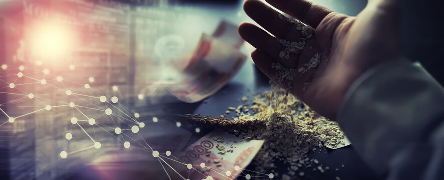 The concept of the cost of grain. 5000 ruble banknotes around a handful of ground grain. World hunger.