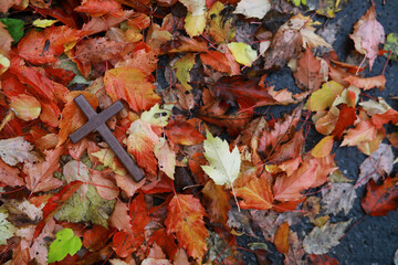 The cross of God in the rays of the sun. Background of religions