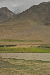 Evening view of dry mountain with a green field beside to pond in Padum, Zanskar Valley, Ladakh, INDIA 
