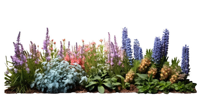 Bright spring flowers surrounded by garden plants cutout transparent backgrounds . Generative AI