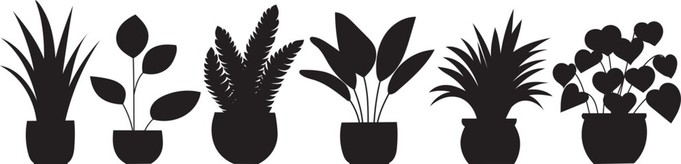 silhouette of a plant in a pot on a white background vector