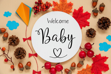 Fototapeta na wymiar Fall Decoration, Autumn Leaves and Kite, With Text Welcome Baby