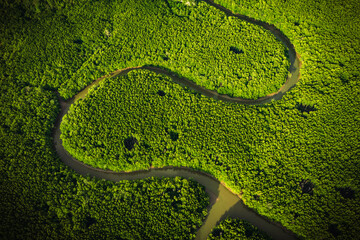 River and green forest mangrove. Beautiful natural scenery of river in southeast Asia tropical green forest, aerial view drone shot.