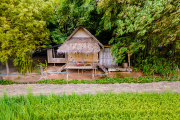 Bamboo hut homestay farm with Green rice paddy fields in Central Thailand Suphanburi region, drone aerial view of green rice fields in Thailand