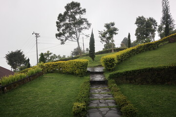 green footpaths around it because there are plants along with roadblocks