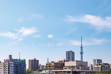 Fototapeta na wymiar 東京隅田川沿いから見る都会の景色