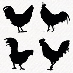 Vector silhouette set of detailed quality chickens -roosters, cock chicks in farm