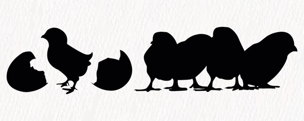 Vector silhouette set of detailed quality chickens - hens and baby chicks in farm  © MdJannatul