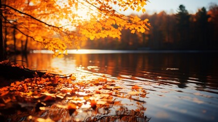 黄色く紅葉する木の落ち葉が水辺に浮かぶ秋の風景