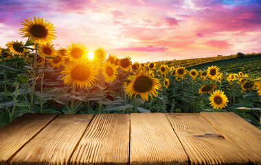 Sunflower on the wooden table. Sunflower field landscape and sunset mountains. High quality photo - 634990884