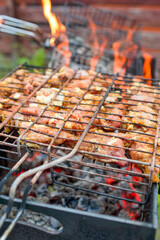 Travel Ideas. Closeup of Fresh Shashlyk Meat on Grill holder Over the Open Fire. Outdoors Shot.