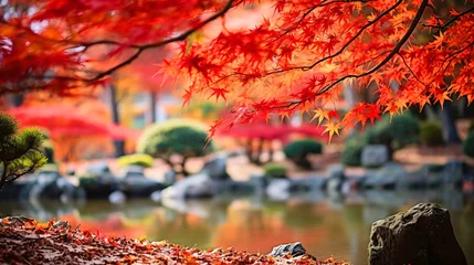 Foto op Canvas 日本庭園にある紅葉したカエデ（イロハモミジ）の葉のアップ © tota