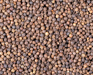 Food background.Black pepper granules close up.Flat lay