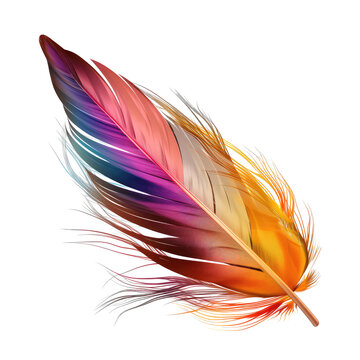 color feathers isolated on white