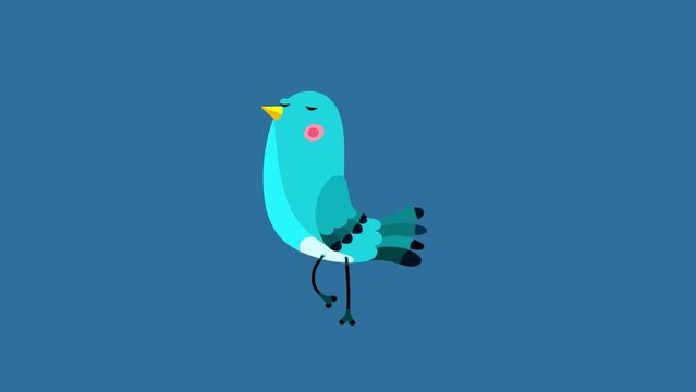 Nightingale bird blue cartoon animation character isolated one step move. Blinking eyes, opening bill, seamless loop behaviour.
