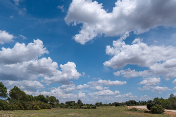 Rural landscape and stunning skyscape with cumulus clouds.