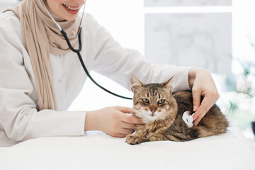 Female veterenary listening to cat's lungs with stethoscope