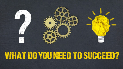 What do you need to succeed?	
